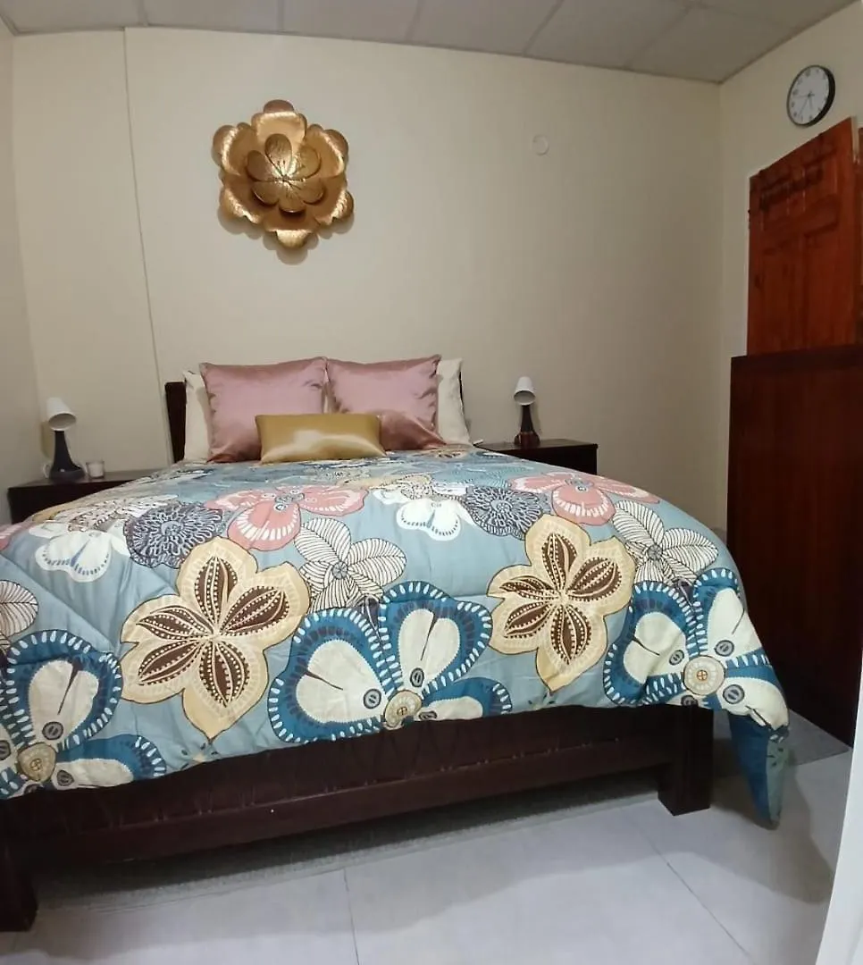 Διαμέρισμα Casa Cicada Back Appartment Chaguanas Τρινιντάντ και Τομπάγκο